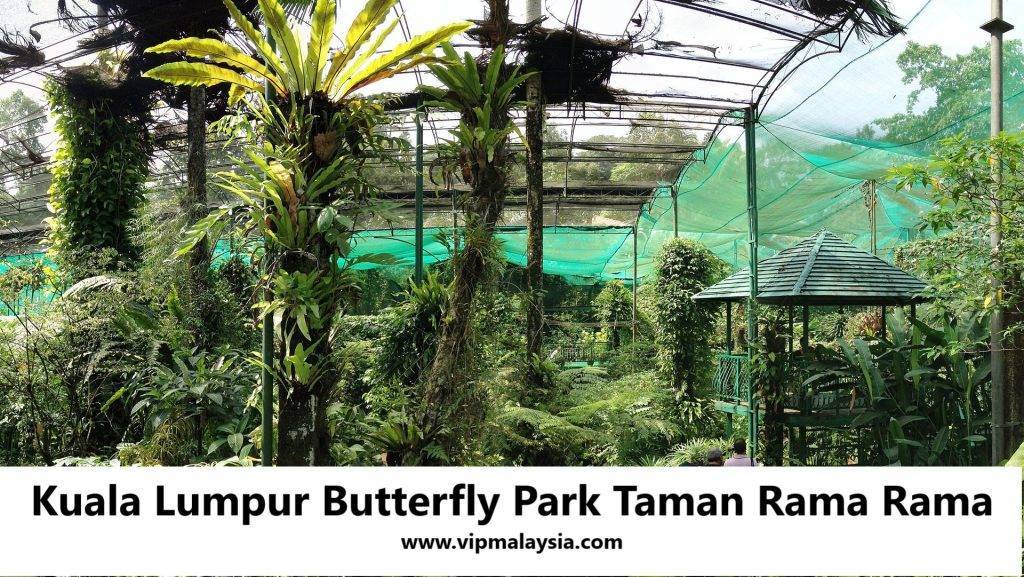 Kuala Lumpur Butterfly Park​ Taman Rama Rama KL