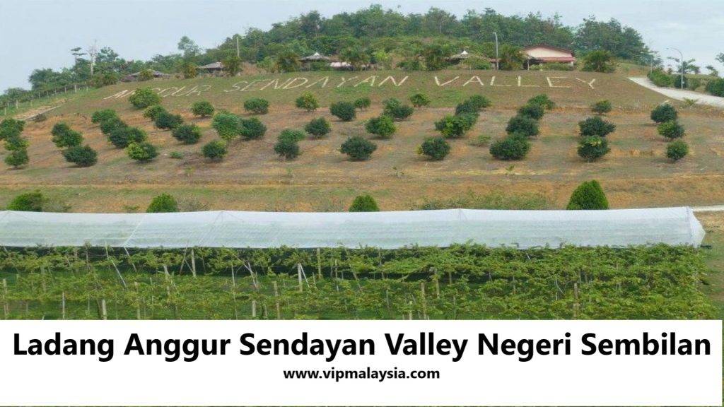 Ladang Anggur Sendayan Valley Negeri Sembilan
