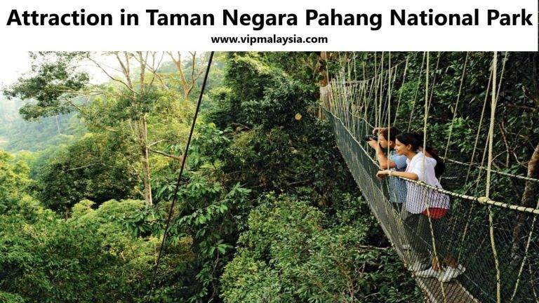 Attractions in Taman Negara Malaysia