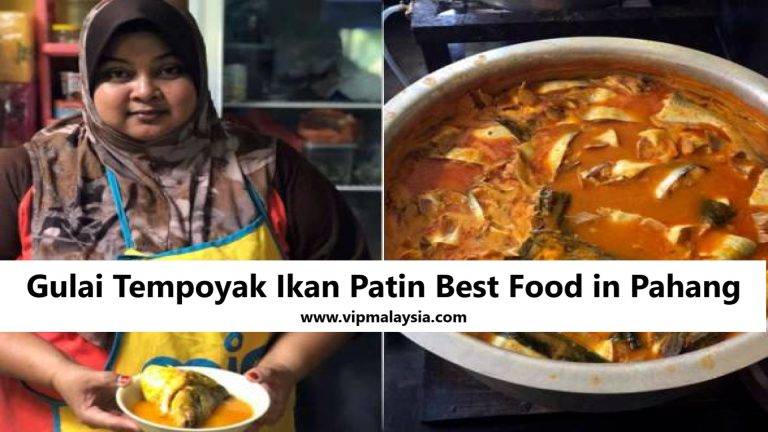 Gulai Tempoyak Ikan Patin Best Food in Pahang