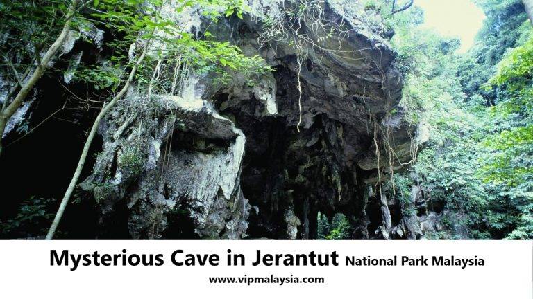 Mysterious Cave in Jerantut National Park Malaysia