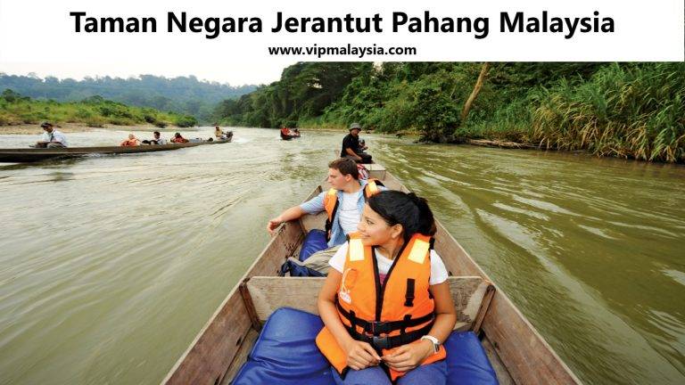 Taman Negara Jerantut
