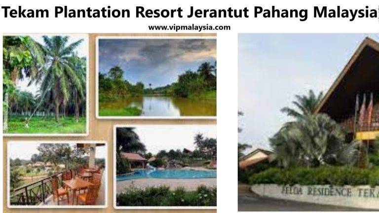 Tekam Plantation Resort Jerantut Pahang Malaysia