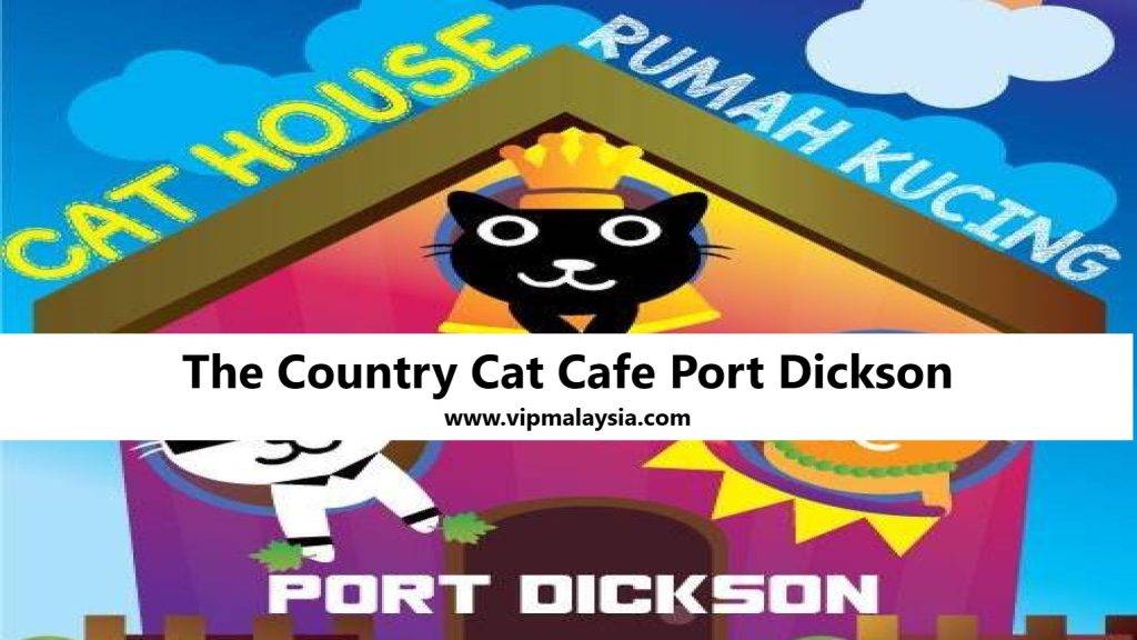 The Country Cat Cafe Port Dickson Best Place to Go