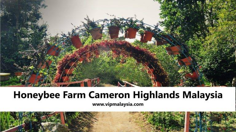 Honeybee Farm Cameron Highlands Malaysia