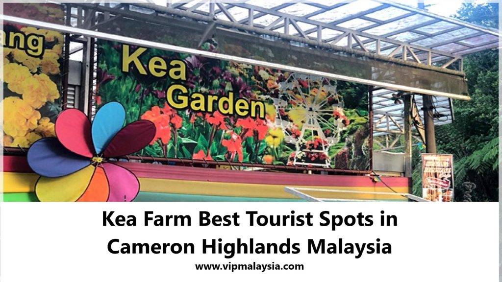 Kea Farm Best Tourist Spots in Cameron Highlands Malaysia