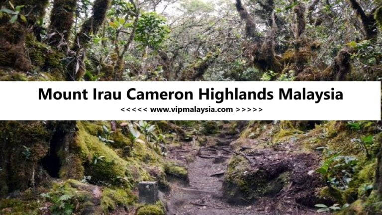 Mount Irau, Cameron Highlands, Malaysia