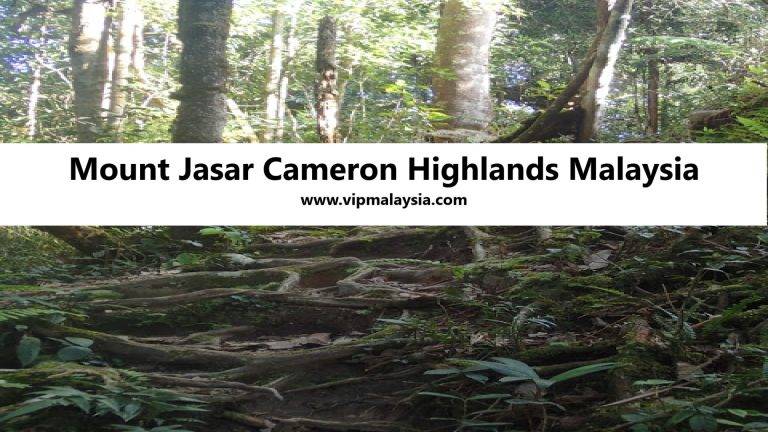 Mount Jasar, Cameron Highlands, Malaysia