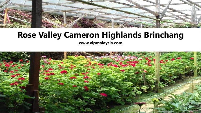 Rose Valley Cameron Highlands Brinchang