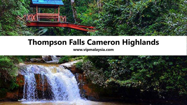 Thompson Falls Cameron Highlands Air Terjun Pahang