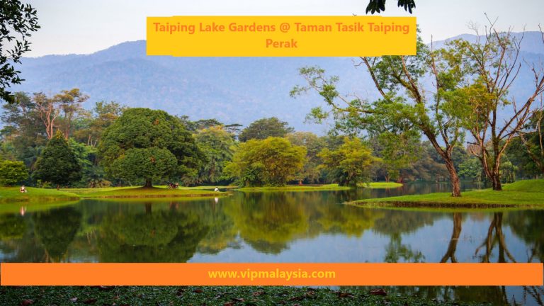 Taiping Lake Gardens, Perak Malaysia