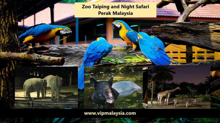Zoo Taiping Night Safari, Perak