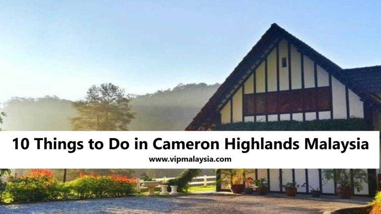 10 Things to Do in Cameron Highlands Malaysia