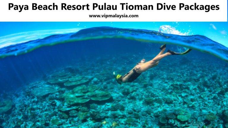 Paya Beach Resort Pulau Tioman Dive Packages