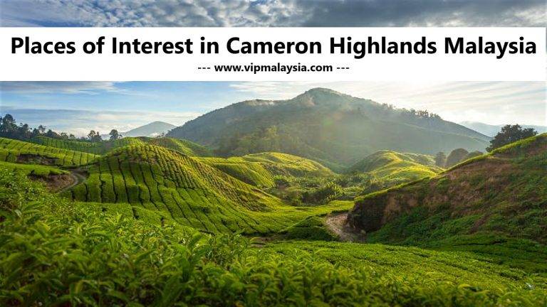 Must-Visit Places of Interest in Cameron Highlands, Malaysia