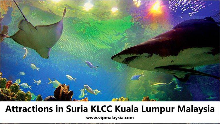 Suria KLCC Kuala Lumpur: Malaysia’s Iconic Shopping Hub