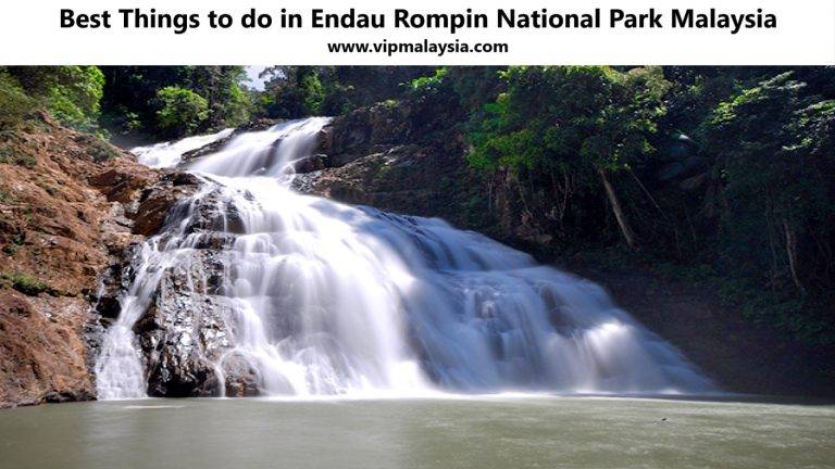 Best Things to do in Endau Rompin National Park Malaysia