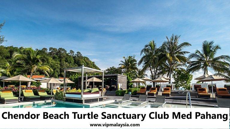 Chendor Beach Turtle Sanctuary Club Med Pahang