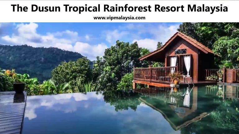 The Dusun, Negeri Sembilan: A Tropical Rainforest Escape