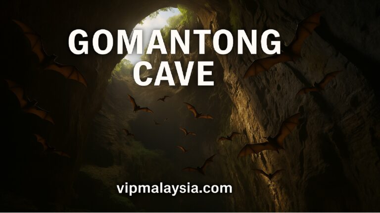 Gomantong Cave