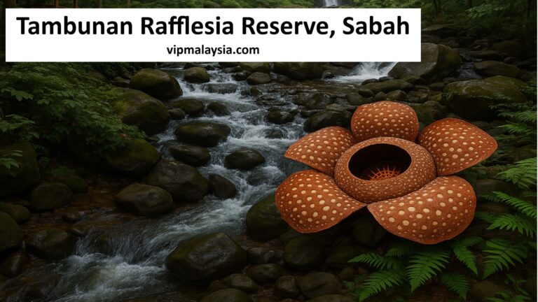 Tambunan Rafflesia Reserve, Sabah