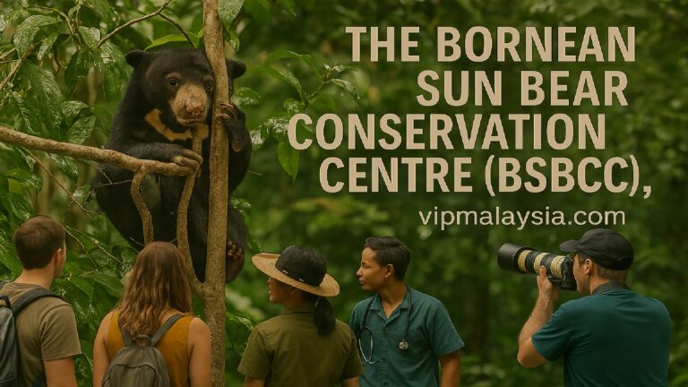 The Bornean Sun Bear Conservation Centre (BSBCC)