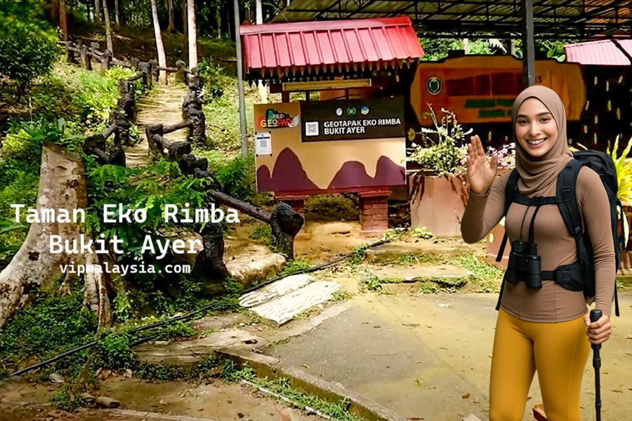 Taman Eko Rimba Bukit Ayer