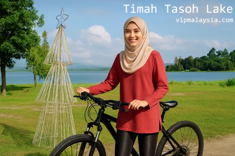 Timah Tasoh Lake